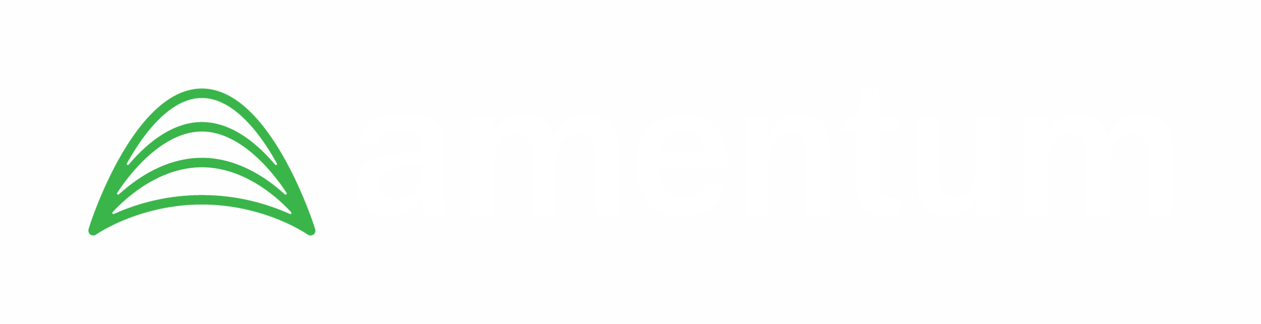 Amentum